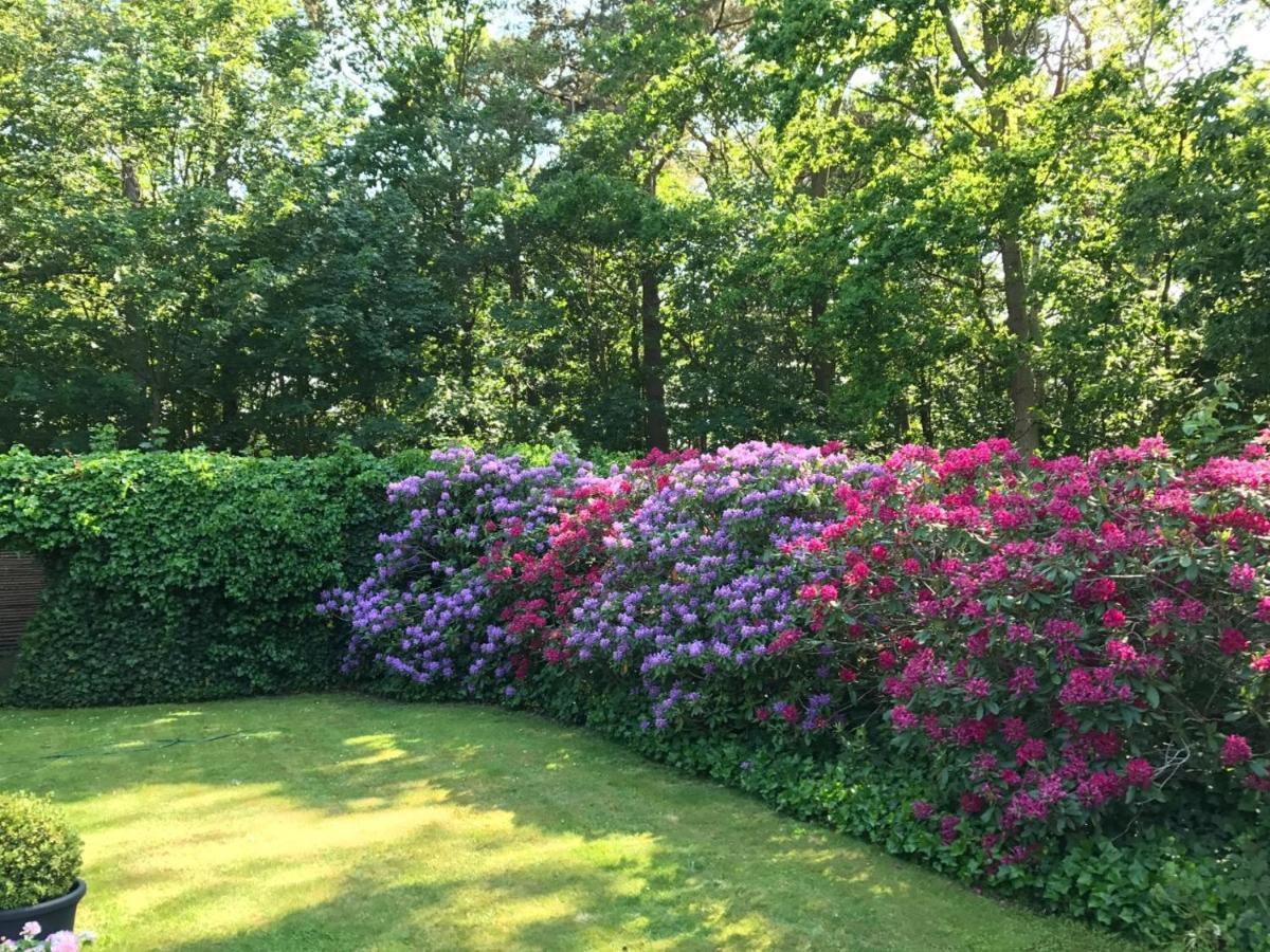 Trouville Bed & Breakfast Hornbaek Bagian luar foto